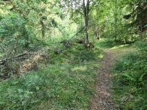 Kaustangen