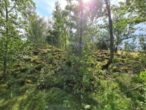 Skånes