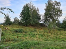 Landstad
