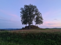 Røliveien-Strugstad
