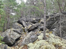 Steinberget Hillfort