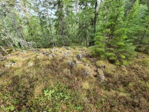 Tjuvberget