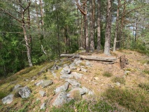 Steinrødodden