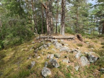 Steinrødodden