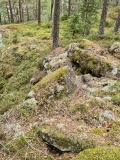 Steinrødodden