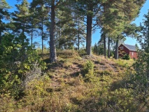 Nordre-Hovum/Hovtun