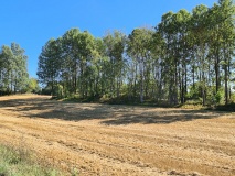 Mellegård