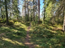 Romskollen