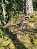 Romskollen