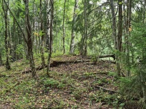 Djupedalsborgen