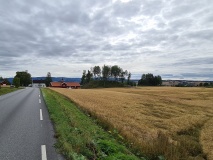 Prinsehaugen/Kongehaugen
