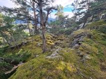 Digerberget