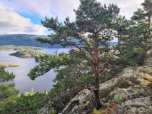 Digerberget