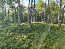 Skavlan