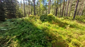 Jernaldergravene på Skeidsmonan
