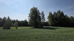 Framgård Hellekiste