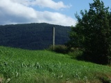 Naustdal standing stone