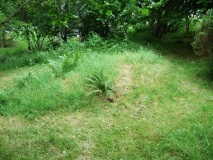 Selje barrow cemetery