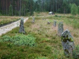 Tingvatn Stone Circles