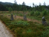 Tingvatn Stone Circles