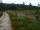 Tingvatn Stone Circles