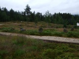 Tingvatn Stone Circles