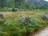 Tingvatn Stone Circles