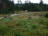 Tingvatn Stone Circles