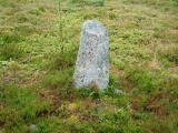 Tingvatn Stone Circles