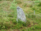 Tingvatn Stone Circles