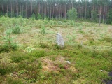 Tingvatn Stone Circles