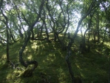 Alstahaug Mound