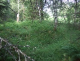 Vassås Barrows