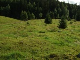 Skjepphaugen Settlement