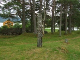 Click for full size image of Dragseidet Cemetery (PID:53287) Dragseidet Cemetery