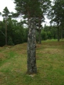Click for full size image of Dragseidet Cemetery (PID:53288) Dragseidet Cemetery