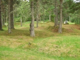 Click for full size image of Dragseidet Cemetery (PID:53324) Dragseidet Cemetery
