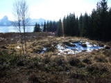 Nesset
