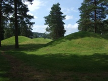 Nygård