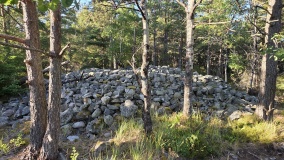 Vardeåsen-Larkollveien