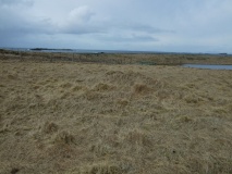 Utgarden