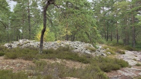 Veumskogen