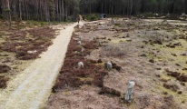 Click for full size image of Tingvatn Stone Circles (PID:209858) Tingvatn Stone Circles