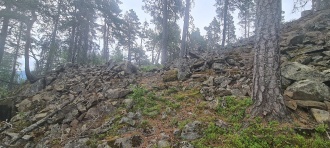 Bjomdalskollen