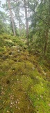 Steinvikåsen