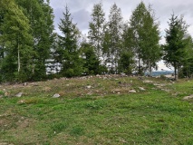 Skuterudsletta