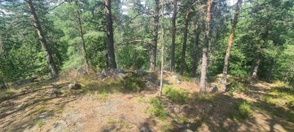 Kjempås