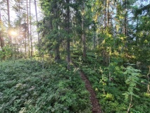 Børja Hillfort