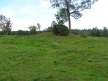 Hestehavna Gravfelt