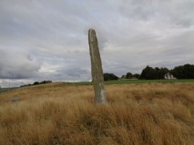 Hedlehaugen
